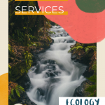 ecosystem services 101 benefits we receive from nature