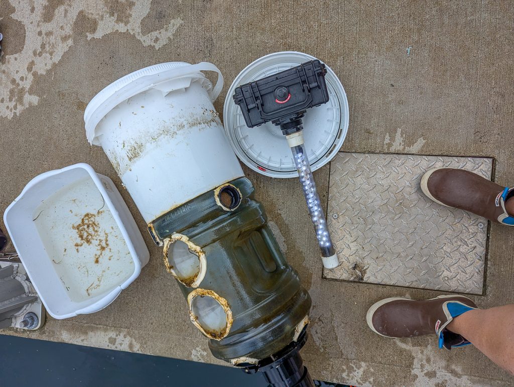 Dungeness crab light trap 